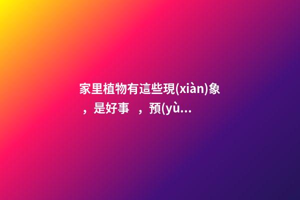 家里植物有這些現(xiàn)象，是好事，預(yù)示你家要發(fā)大財(cái)了！